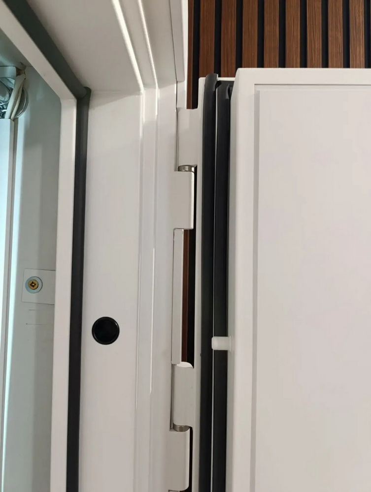 Входная дверь АСД "Алтай" (биометрический замок Smart lock К06) Муар белый/Белый матовый