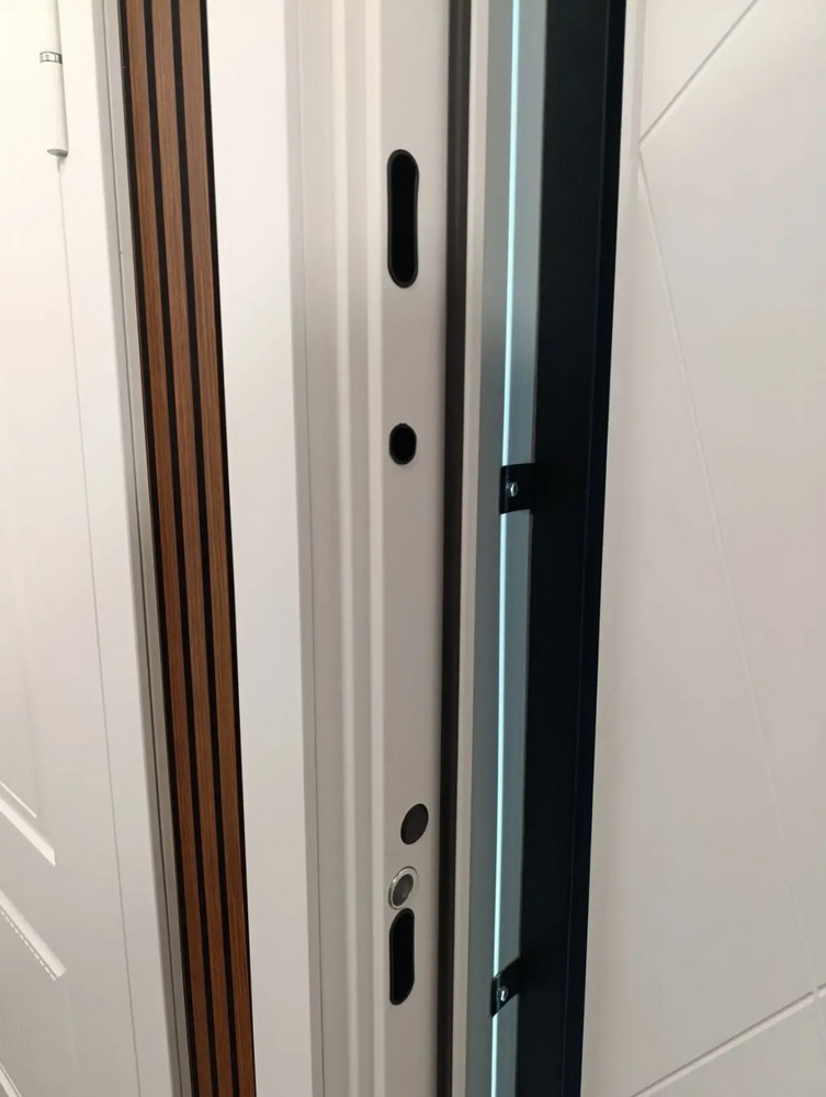 Входная дверь АСД "Алтай" (биометрический замок Smart lock К06) Муар белый/Белый матовый