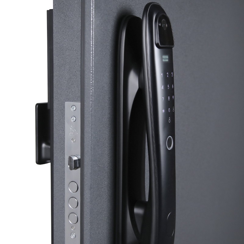 Входная дверь АСД "Беркут" (биометрический замок Smart lock DZ 888) Букле графит/Матовый белый