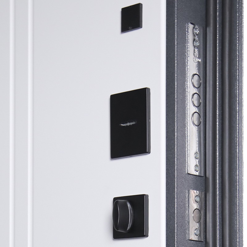 Входная дверь АСД "Беркут" (биометрический замок Smart lock Y12) Букле графит/Дуб галиф натуральный