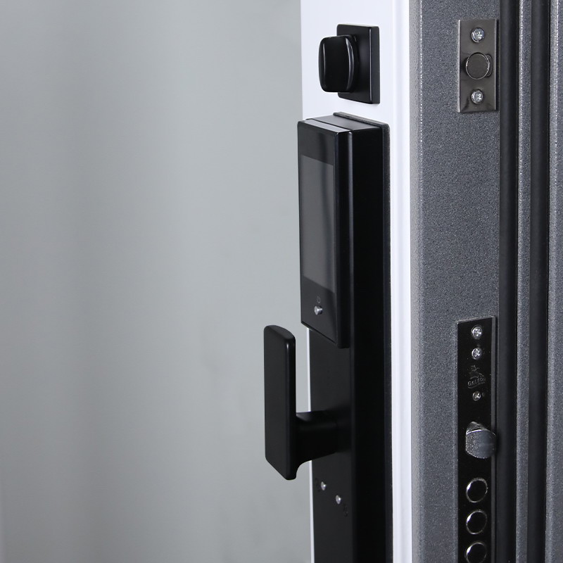 Входная дверь АСД "Беркут" с зеркалом (биометрический замок Smart lock DZ 888) Букле графит/Матовый белый