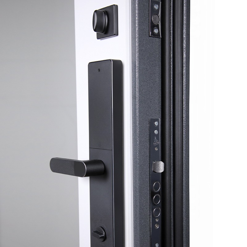Входная дверь АСД "Беркут" с зеркалом (биометрический замок Smart lock R06) Букле графит/Бетон светлый