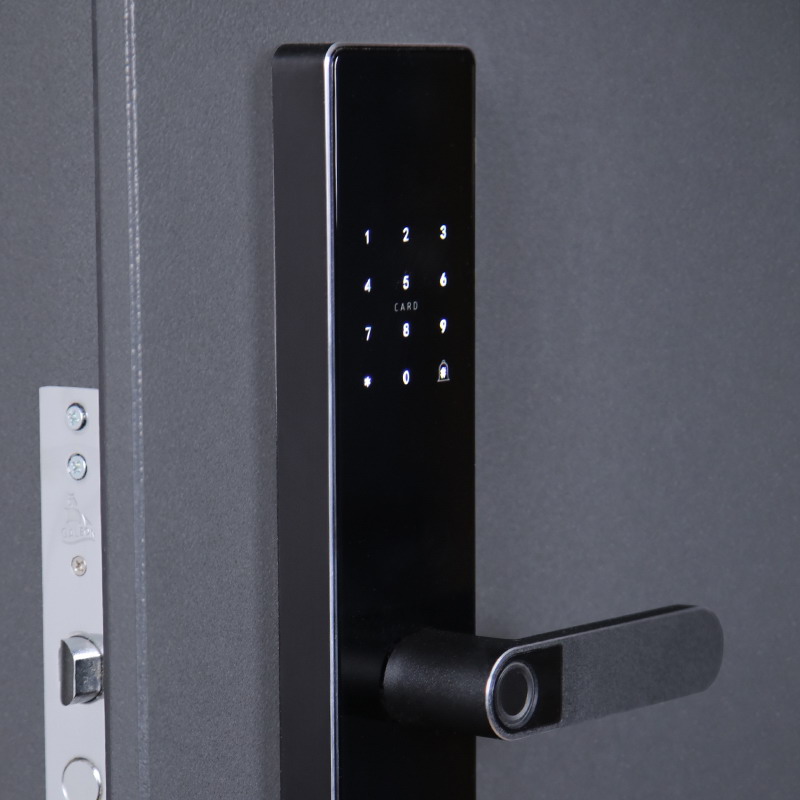 Входная дверь АСД "Беркут" с зеркалом (биометрический замок Smart lock R06) Букле графит/Матовый белый