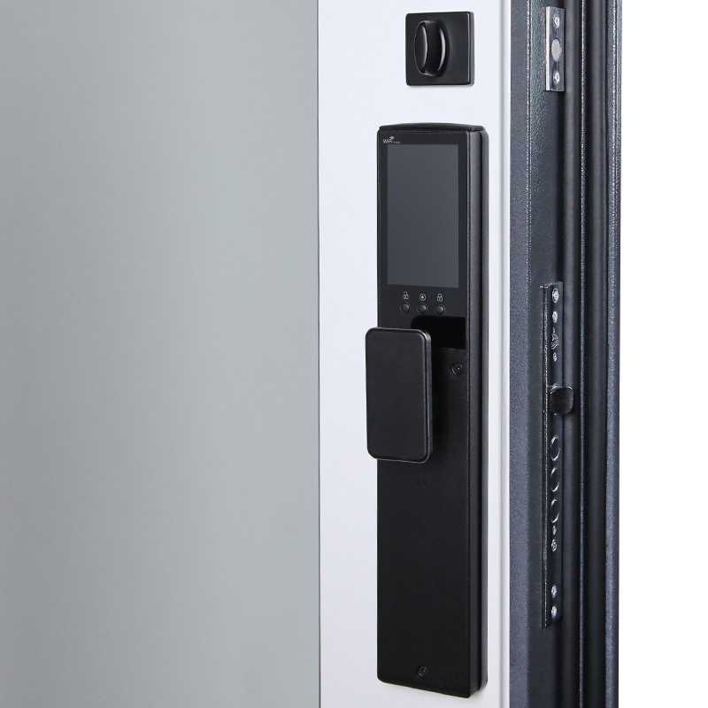 Входная дверь АСД "Беркут" с зеркалом (биометрический замок Smart lock Y12) Букле графит/Дуб галиф натуральный