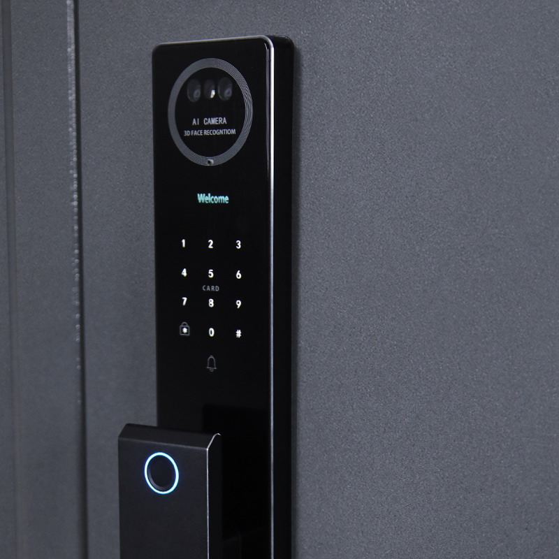 Входная дверь АСД "Беркут" с зеркалом (биометрический замок Smart lock Y12) Букле графит/Дуб галиф натуральный