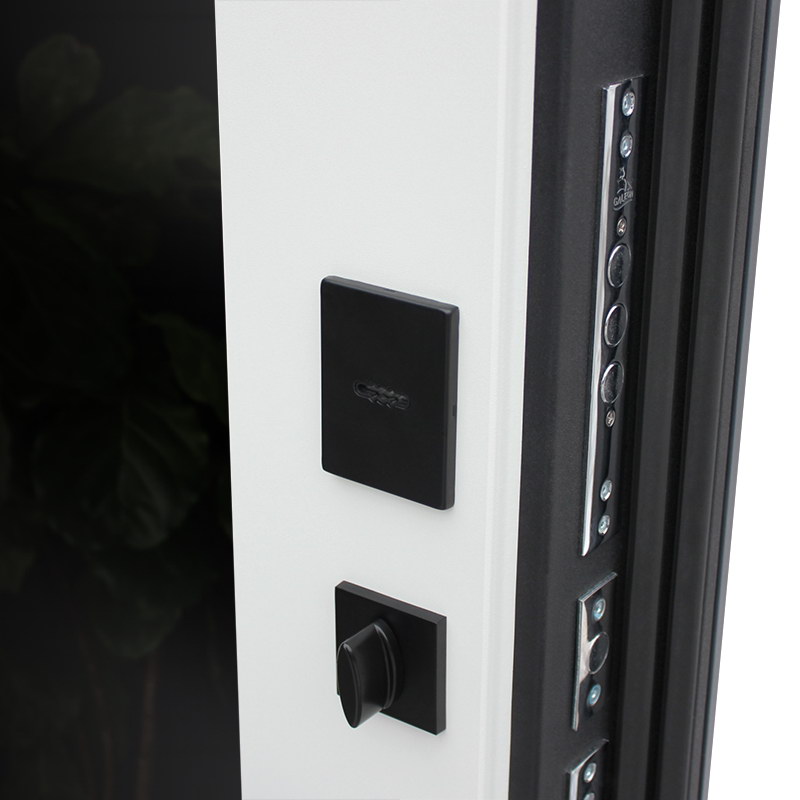 Входная дверь АСД "Бриг с зеркалом" (биометрический замок Smart lock К06) Муар черный/Белый матовый