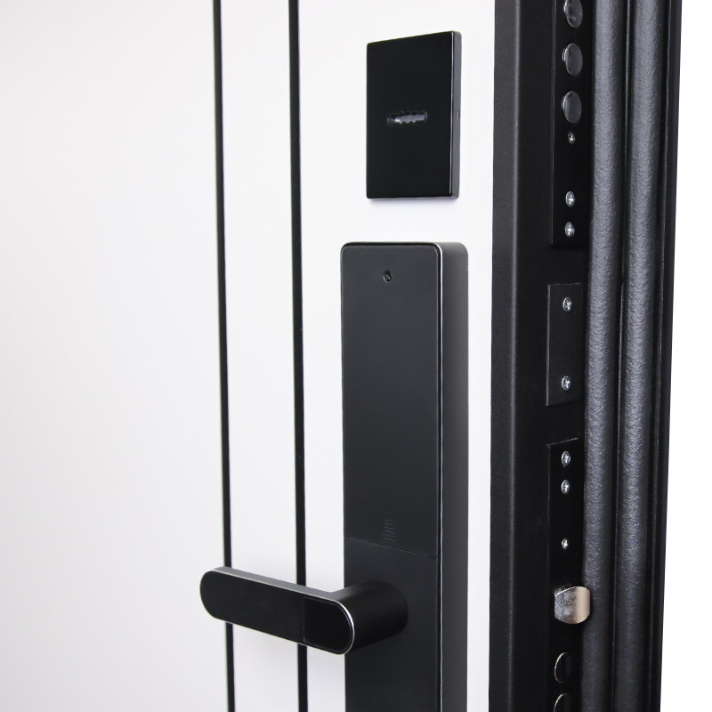 Входная дверь АСД "Forest" (биометрический замок Smart lock R06) Муар чёрный/Чёрный