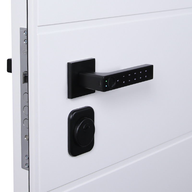 Входная дверь АСД "Горизонт" (биометрическая дверная ручка Smart lock T888) Муар белый/Белый матовый