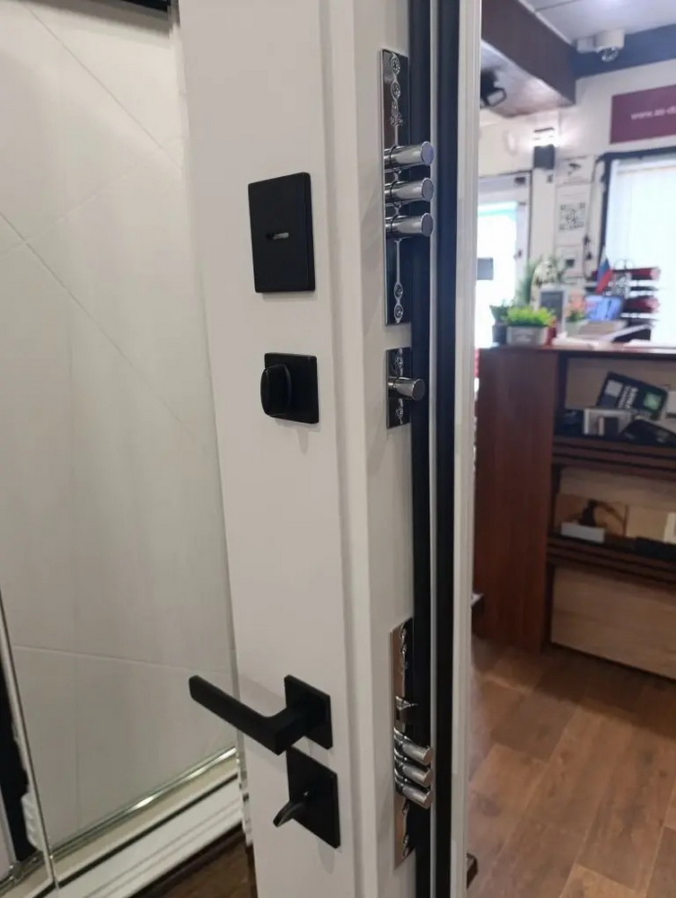 Входная дверь АСД "Горизонт" с зеркалом (биометрический замок Smart lock DZ 888) Муар белый/Белый матовый