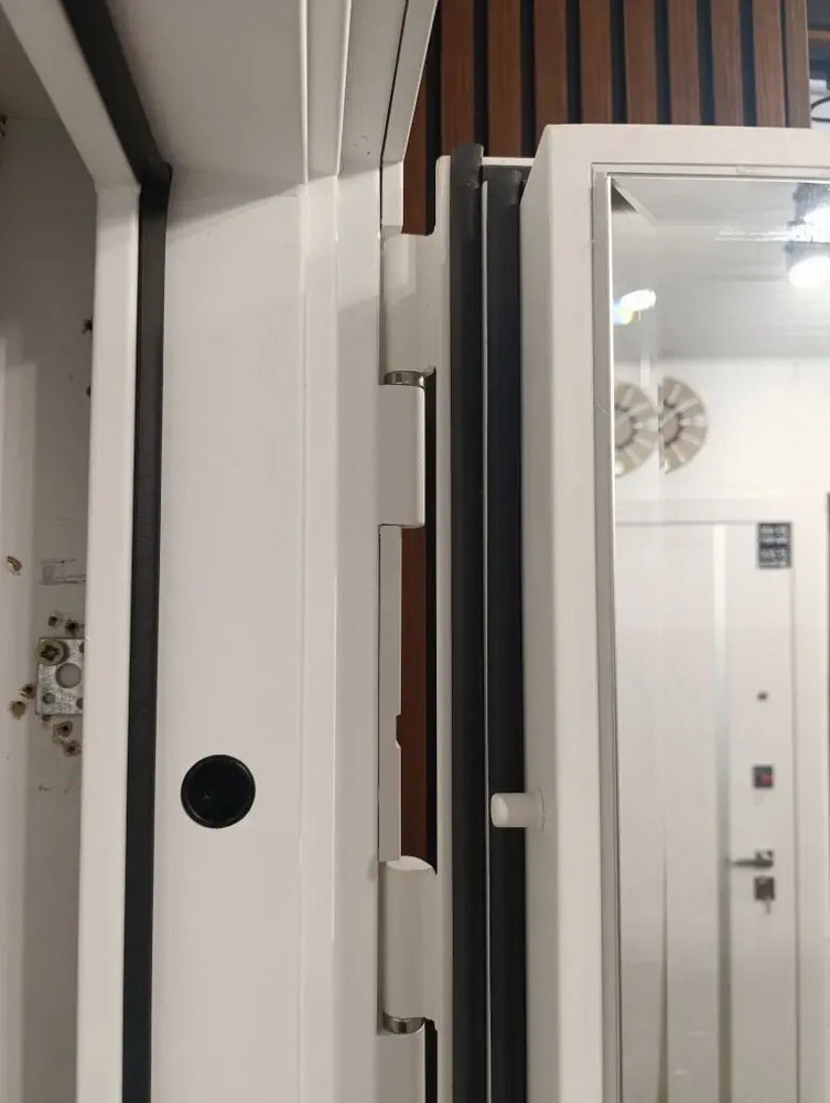 Входная дверь АСД "Горизонт" с зеркалом (биометрический замок Smart lock DZ 888) Муар белый/Белый матовый