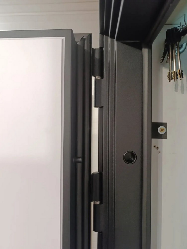 Входная дверь АСД "Life" (биометрическая дверная ручка Smart lock T888) Муар черный/Белый матовый