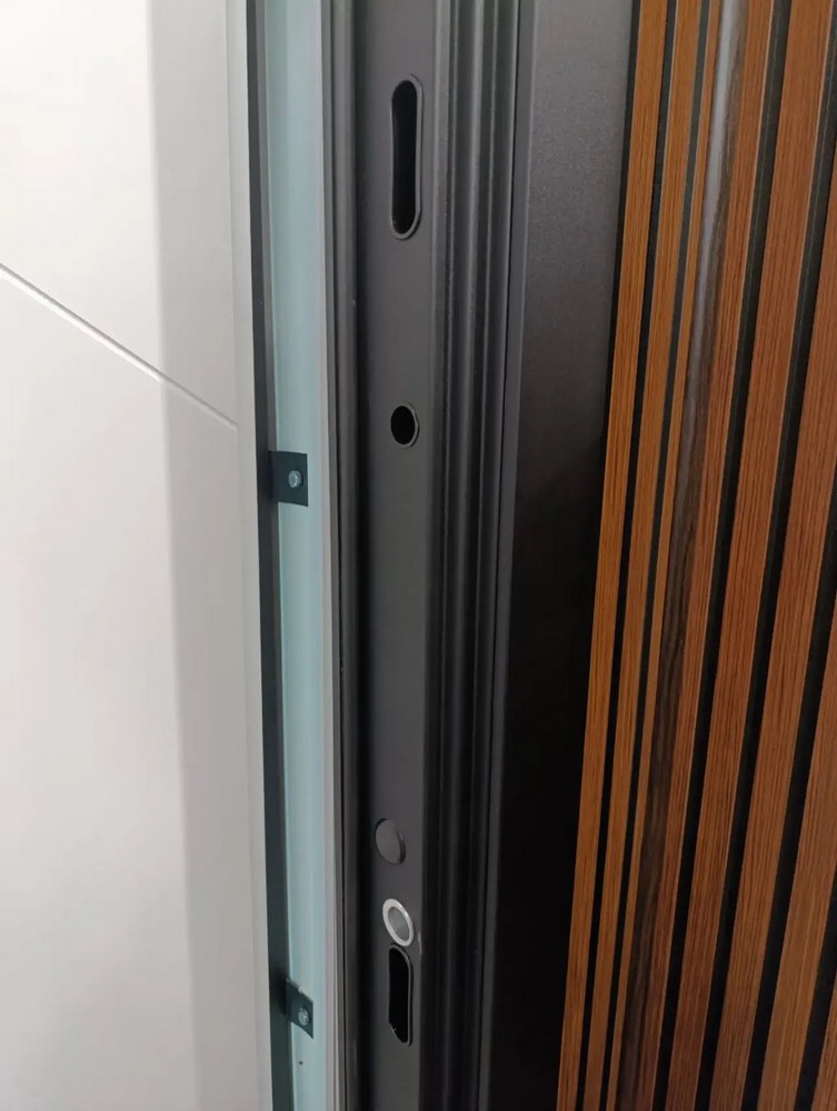 Входная дверь АСД "Life" (биометрический замок Smart lock Y23) Муар черный/Белый матовый