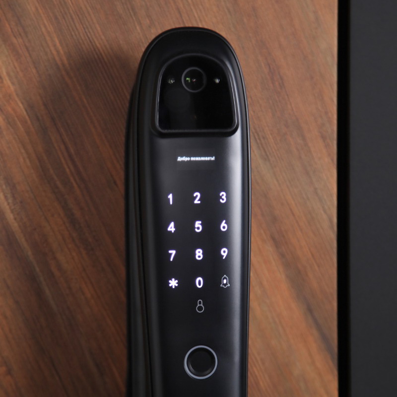 Входная дверь АСД "Plata" (биометрический замок Smart lock DZ 888) Муар черный/Белый матовый