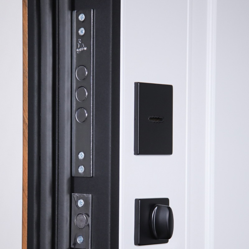 Входная дверь АСД "Plata" (биометрический замок Smart lock DZ 888) Муар черный/Белый матовый