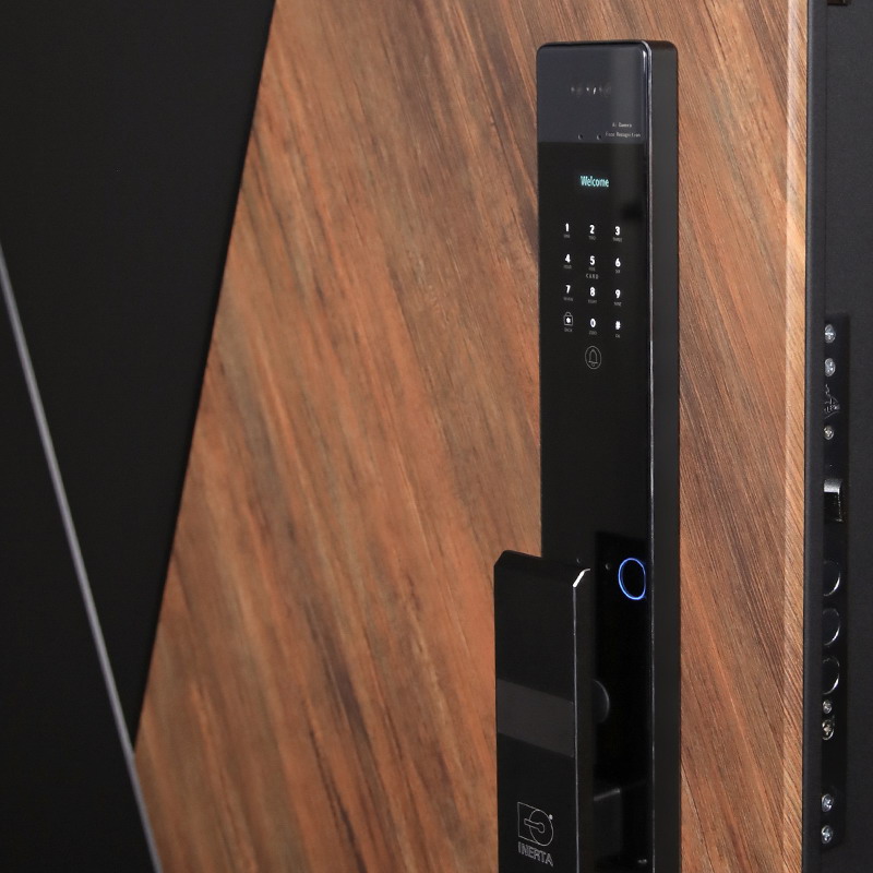 Входная дверь АСД "Plata" (биометрический замок Smart lock Y23) Муар черный/Белый матовый