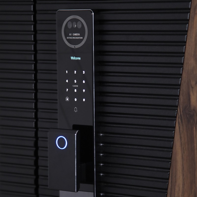 Входная дверь АСД "Сапсан" (биометрический замок Smart lock Y12) Муар черный/Белый матовый