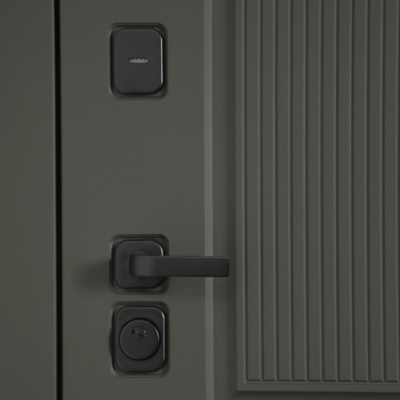 Входная дверь АСД "Scandi" (биометрическая дверная ручка Smart lock T888) Муар черный/Белый матовый