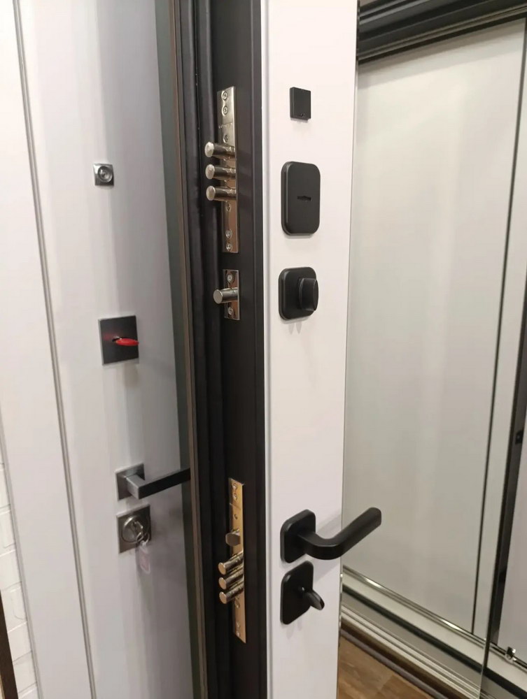 Входная дверь АСД &laquo;Сидней&raquo; с зеркалом (биометрическая дверная ручка Smart lock T888) Муар серый/Белый матовый