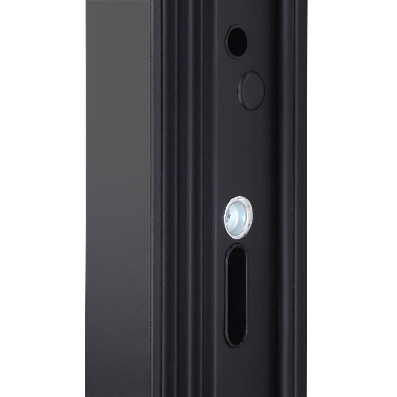Входная дверь АСД "Solana" с зеркалом (биометрический замок Smart lock Y12) Муар черный/Белый матовый