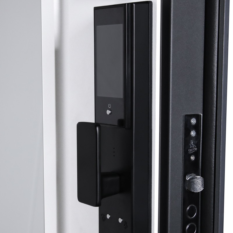 Входная дверь АСД "Vegas" с зеркалом (биометрический замок Smart lock DZ 888) Муар серый/Белый матовый
