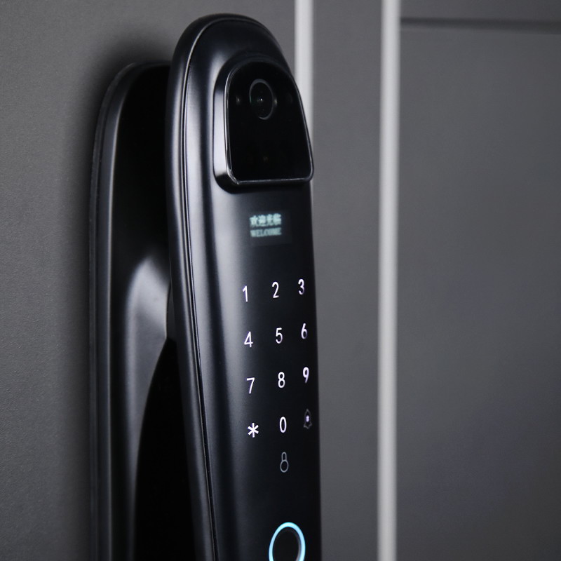 Входная дверь АСД "Vegas" с зеркалом (биометрический замок Smart lock DZ 888) Муар серый/Белый матовый